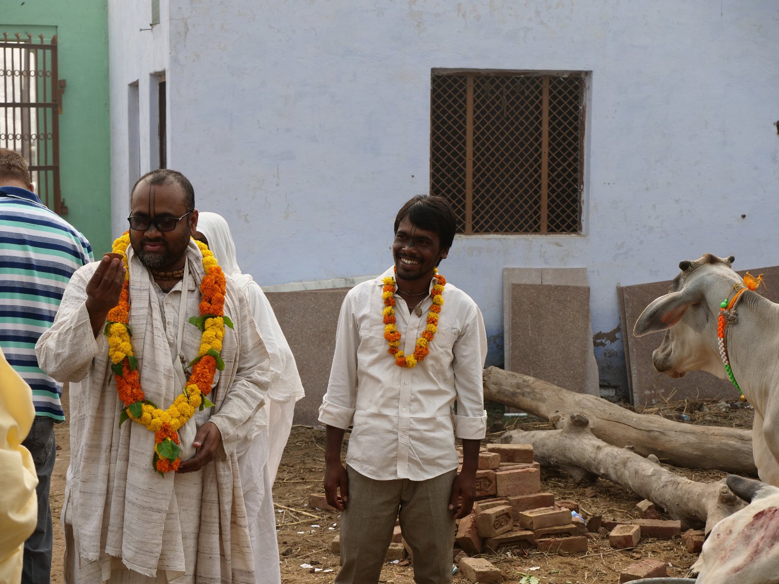  138 Gopashtami Radha kunda Govardhan 19.11.04